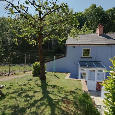 Lilac Cottage Parkend Exterior foto